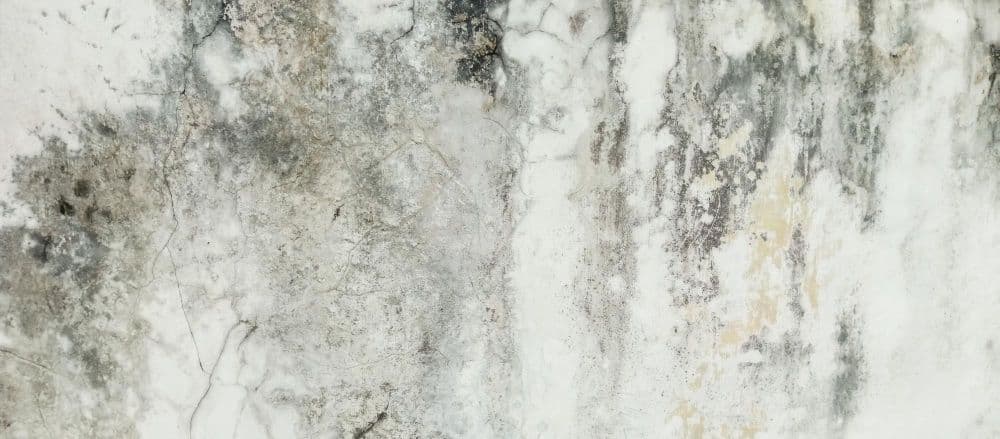 Imagen de cabecera: Guías de Precios de Humedades