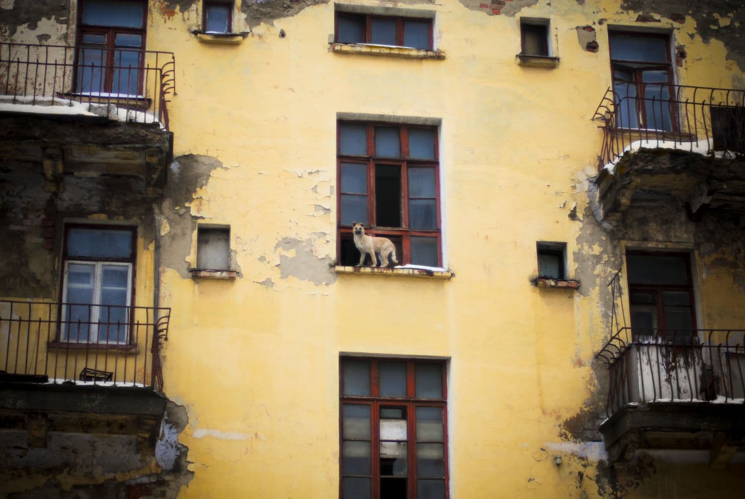 humedades problema estructural