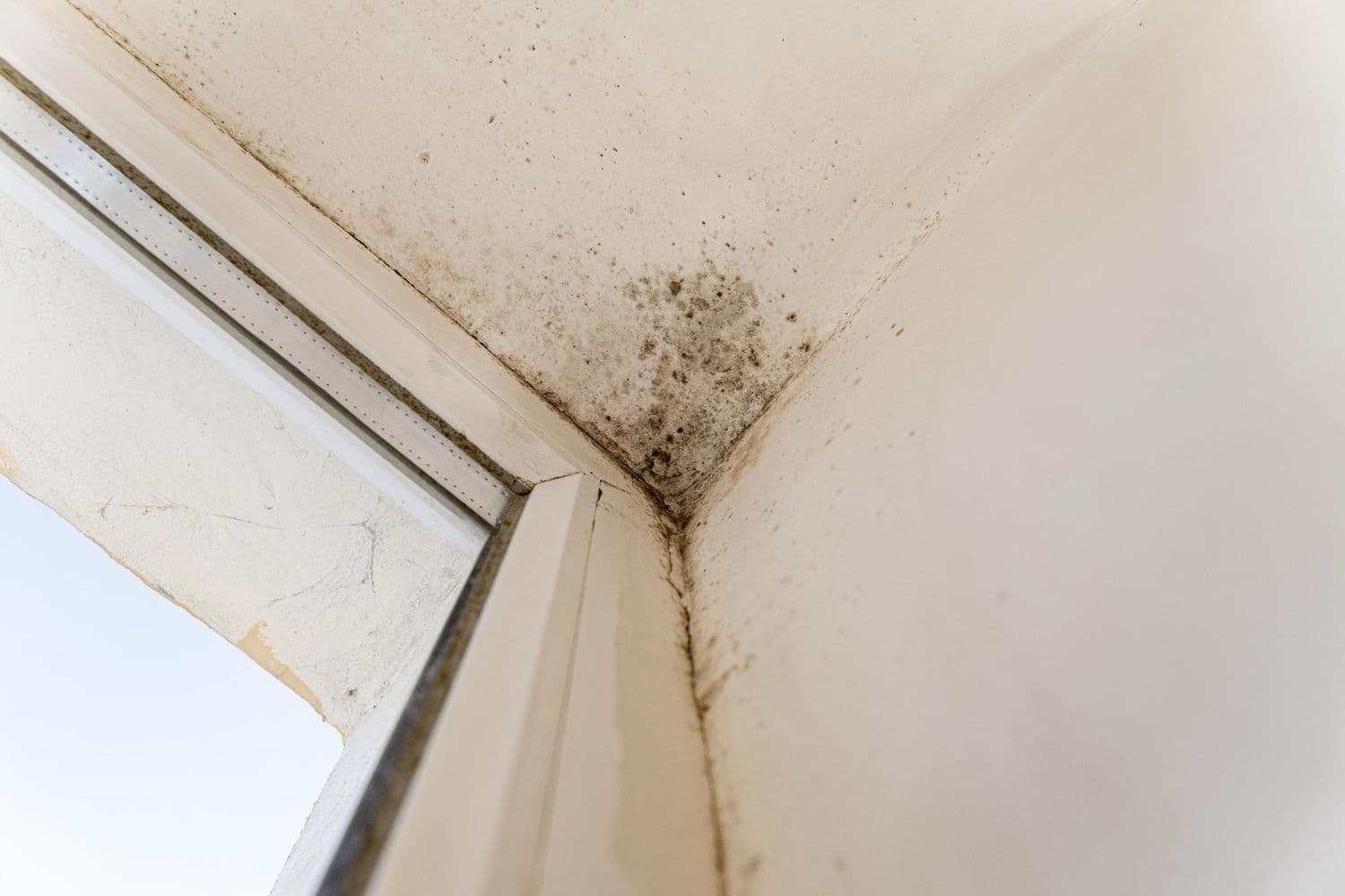 causas humedades en techos