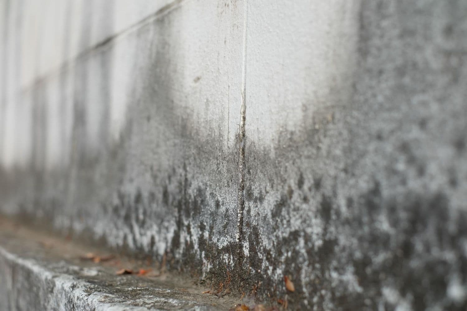 humedades en paredes exteriores
