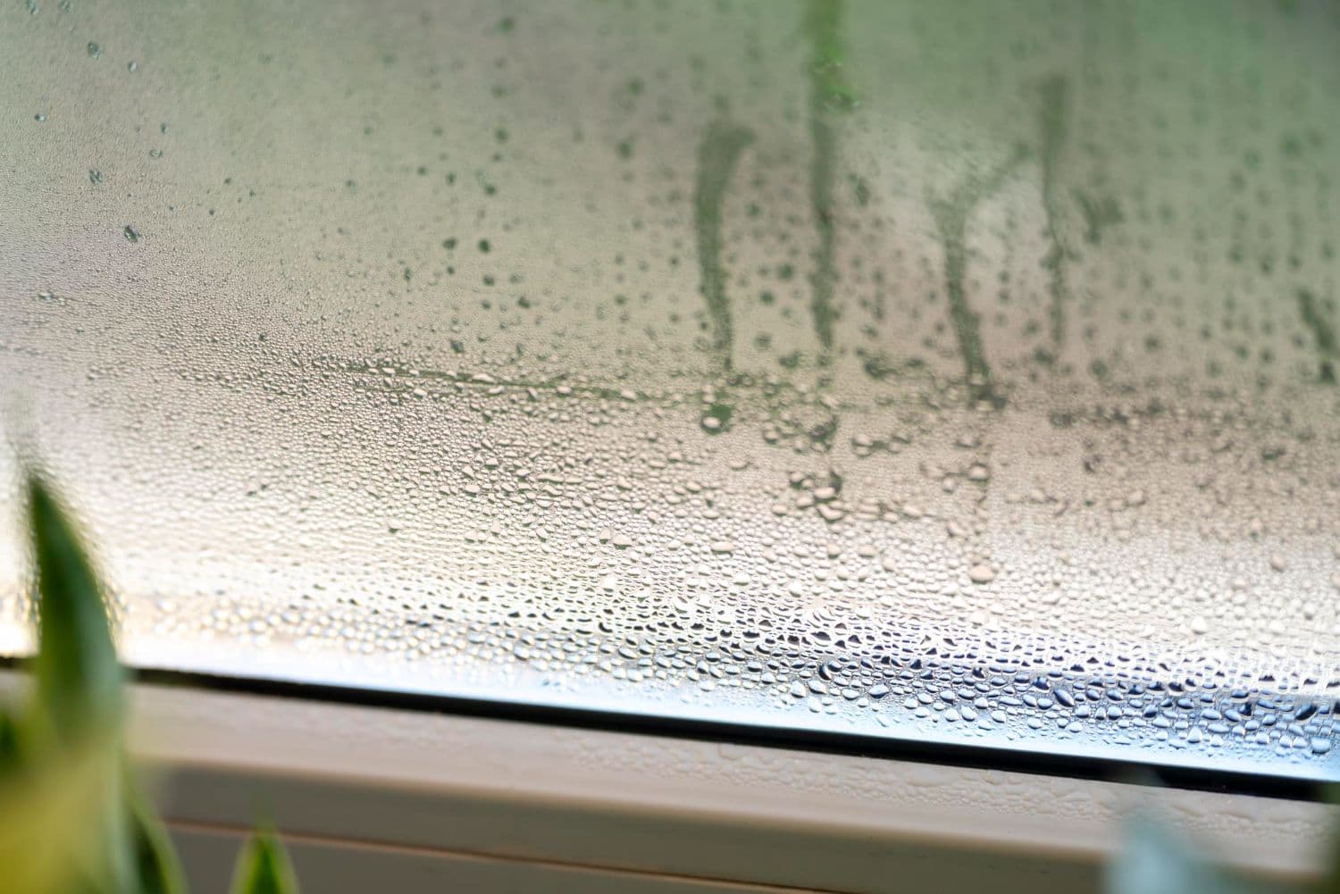 reparar humedades condensación