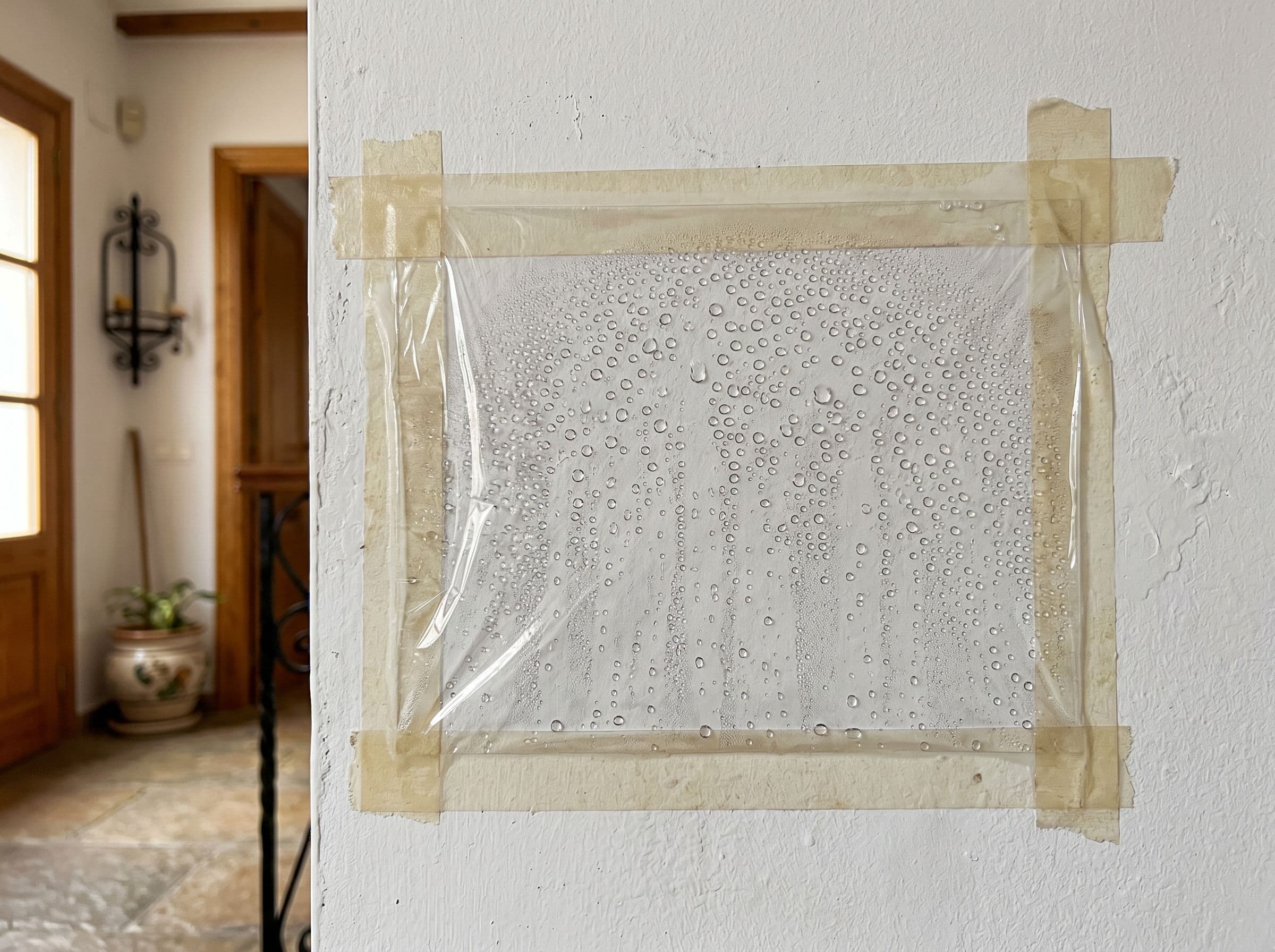 prueba del film humedades