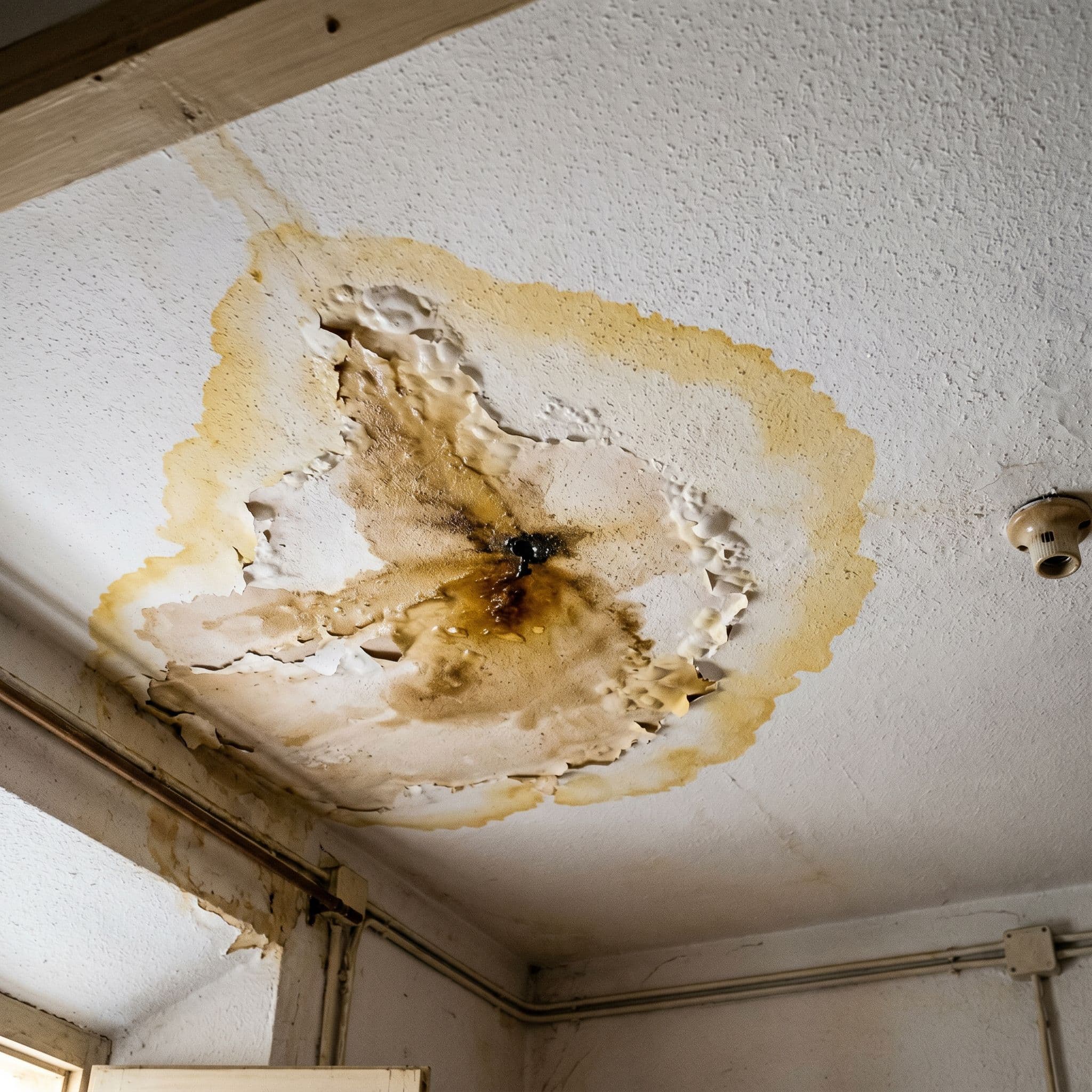 Mancha amarillenta de filtración por lluvia en techo interior con halo de sales y pintura ampollada en el contorno