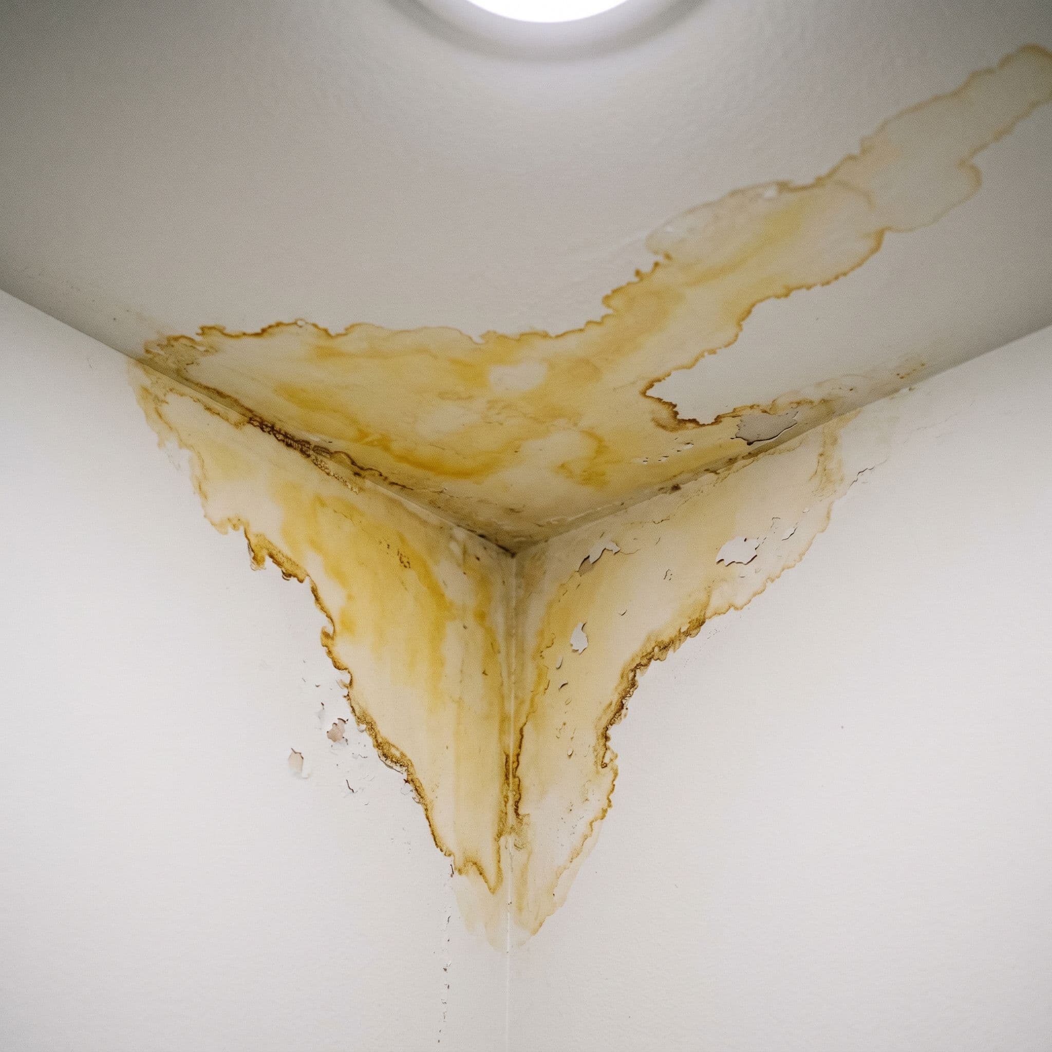 Mancha amarillenta de humedad en techo de baño con halo de sales y pintura desconchada en el contorno